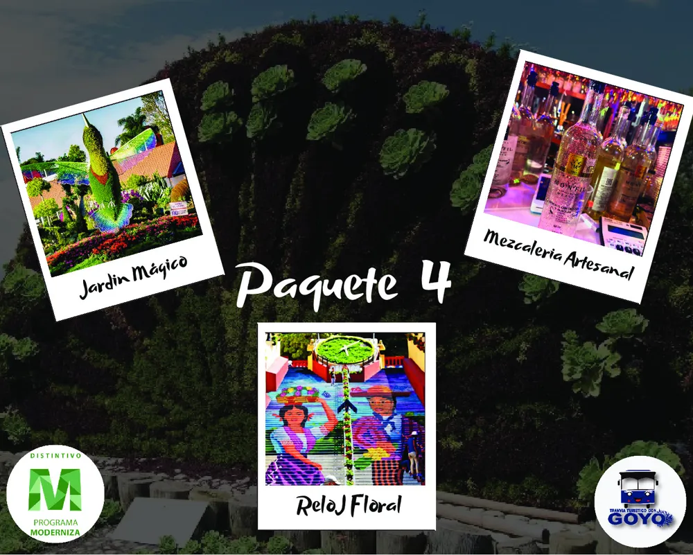 Imagen de Paquete 4