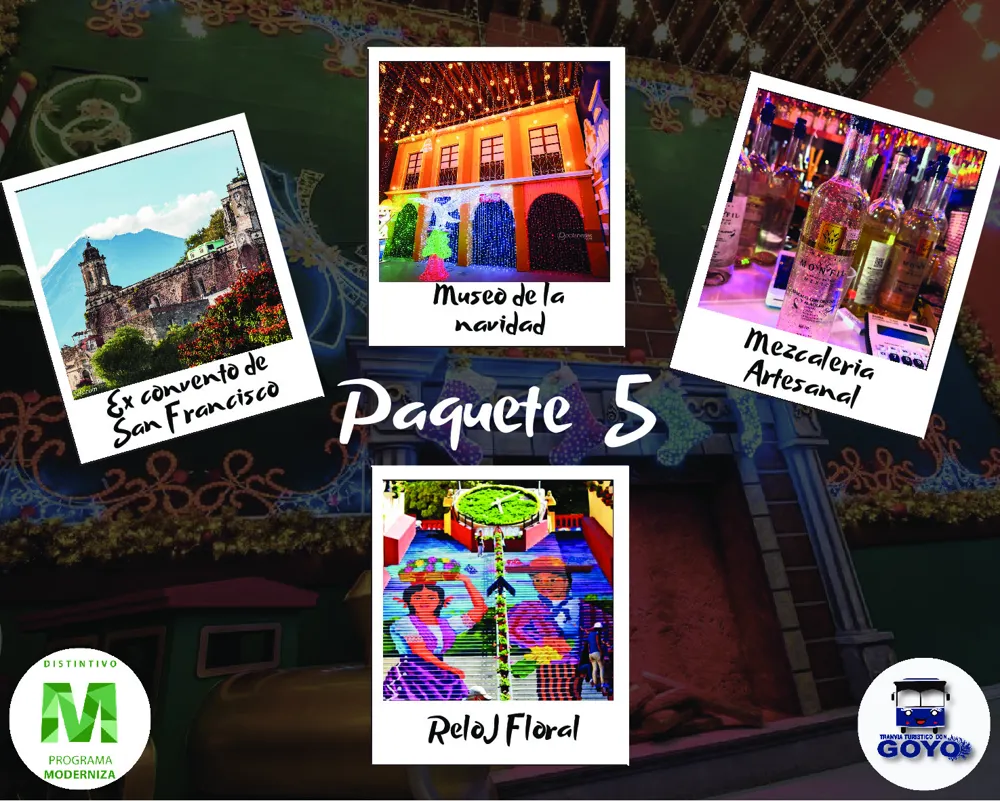 Imagen de Paquete 5